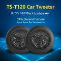 TS-T120 Hight Quality Tweeter (800W). 