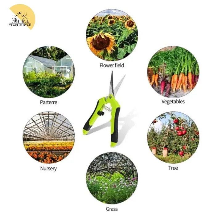 Scissors%20for%20cutting%20branches%20%E1%80%A1%E1%80%95%E1%80%84%E1%80%BA%E1%80%8A%E1%80%BE%E1%80%95%E1%80%BA%E1%80%80%E1%80%90%E1%80%BA%E1%80%80%E1%80%BC%E1%80%B1%E1%80%B8%20-%20Image%203