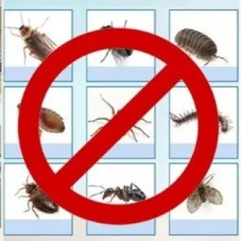 %E1%80%9A%E1%80%84%E1%80%BA%E1%81%8A%E1%80%95%E1%80%AD%E1%80%AF%E1%80%B8%E1%80%99%E1%80%BD%E1%80%BE%E1%80%AC%E1%80%B8%20%E1%80%95%E1%80%BC%E1%80%B1%E1%80%B8%E1%80%86%E1%80%B1%E1%80%B8%E1%80%97%E1%80%B0%E1%80%B8%20(SHCMRR005)%20-%20Image%202