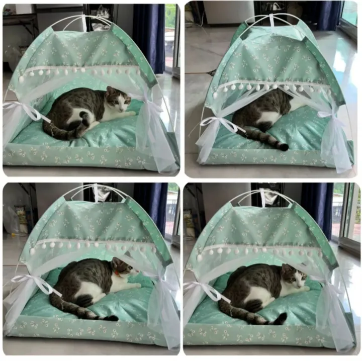 Pet%20bed%20(%E1%80%99%E1%80%BD%E1%80%B1%E1%80%B7%E1%80%9B%E1%80%AC%20%E1%80%81%E1%80%BC%E1%80%84%E1%80%BA%E1%80%91%E1%80%B1%E1%80%AC%E1%80%84%E1%80%BA)%20-%20Image%203