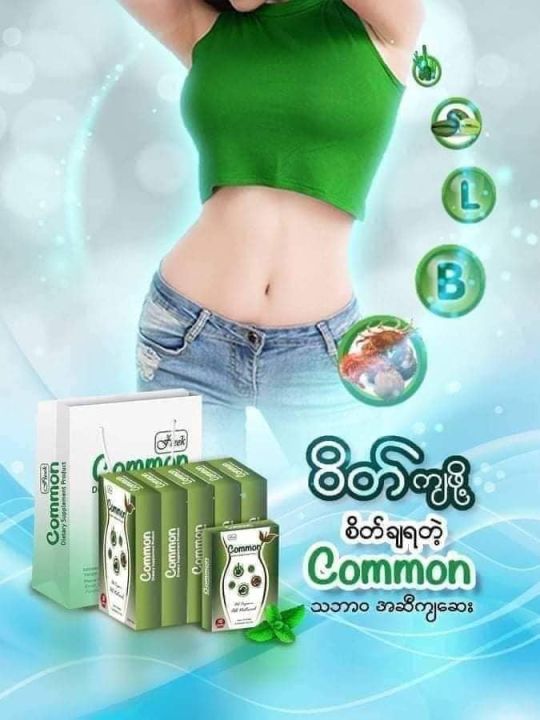 Common%20%20%E1%80%A1%E1%80%AC%E1%80%99%E1%80%81%E1%80%B6%E1%80%A1%E1%80%86%E1%80%AE%E1%80%96%E1%80%BB%E1%80%B1%E1%80%AC%E1%80%BA%E1%80%96%E1%80%BC%E1%80%8A%E1%80%BA%E1%80%B7%E1%80%85%E1%80%BD%E1%80%80%E1%80%BA%E1%80%85%E1%80%AC%E1%80%86%E1%80%B1%E1%80%B8%20-%20Image%204