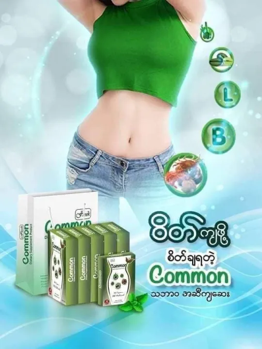 Common%20%20%E1%80%A1%E1%80%AC%E1%80%99%E1%80%81%E1%80%B6%E1%80%A1%E1%80%86%E1%80%AE%E1%80%96%E1%80%BB%E1%80%B1%E1%80%AC%E1%80%BA%E1%80%96%E1%80%BC%E1%80%8A%E1%80%BA%E1%80%B7%E1%80%85%E1%80%BD%E1%80%80%E1%80%BA%E1%80%85%E1%80%AC%E1%80%86%E1%80%B1%E1%80%B8%20-%20Image%204