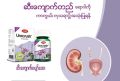 Fame Urocrush , Fame ဆီးကျောက်ပျော်ဆေး , For Renal Stones. 