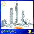 ကြယ်သီးကာဗိုက်စကူ Cross Recessed Wafer Head Self Drilling Screw. 