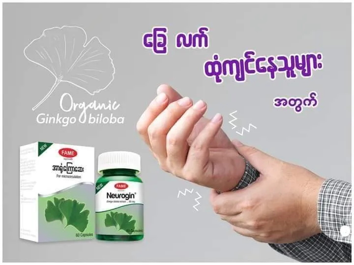 Fame%20Bundle,%20%E1%80%99%E1%80%BB%E1%80%80%E1%80%BA%E1%80%85%E1%80%AD%E1%80%80%E1%80%BB%E1%80%94%E1%80%BA%E1%80%B8%E1%80%99%E1%80%AC%E1%80%9B%E1%80%B1%E1%80%B8%E1%80%A1%E1%80%90%E1%80%BD%E1%80%80%E1%80%BA%20%E1%80%A1%E1%80%91%E1%80%B1%E1%80%AC%E1%80%80%E1%80%BA%E1%80%A1%E1%80%80%E1%80%B0%E1%80%95%E1%80%BC%E1%80%AF%E1%80%9E%E1%80%B1%E1%80%AC%20Fame%20%E1%80%86%E1%80%B1%E1%80%B8%E1%80%9D%E1%80%AB%E1%80%B8%E1%80%99%E1%80%BB%E1%80%AC%E1%80%B8,%20NatureA+Phototec+Neurogin,%20%E1%80%9E%E1%80%98%E1%80%AC%E1%80%9D-%E1%80%A1%E1%80%B1+%E1%80%99%E1%80%BB%E1%80%80%E1%80%BA%E1%80%85%E1%80%AD%E1%80%86%E1%80%B1%E1%80%B8+%E1%80%A1%E1%80%AC%E1%80%9B%E1%80%AF%E1%80%B6%E1%80%80%E1%80%BC%E1%80%B1%E1%80%AC%E1%80%86%E1%80%B1%E1%80%B8%20-%20Image%208