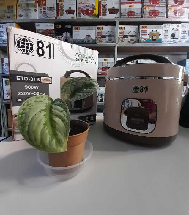 81%20Rice%20Cooker%20(2.2L)%20-%20Image%204