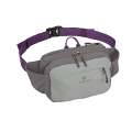 Eagle Creek Wayfinder Waist Pack. 