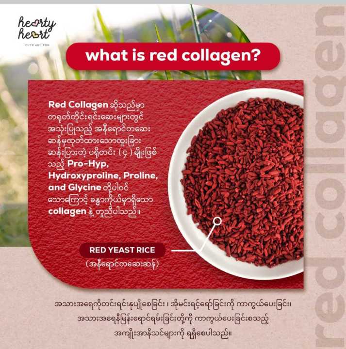 hearty%20heart%20red%20collagen%20cream(30g)%20-%20Image%203