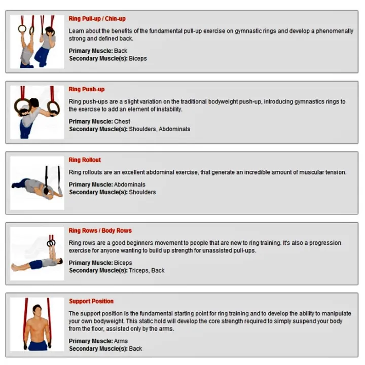 Wooden%20Gymnastic%20Rings%20with%20Adjustable%20Straps%20(First%20Place)%20-%20Image%208