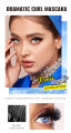 (Preorder) Bob Mascara, a Popular Blue Mascara, Coats Eyelashes, Is Waterproof, Sweat-Proof, and Long-Lasting.. 