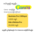 Canva Pro Plan. 