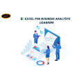 Excel for Business Analysts Learning DVD Soft Copy (iso). 