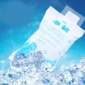 Reusable Eco PE Water-filled Ice Packs To Keep Fresh Cool Down Gel Ice Packs Express Food Seafood Thickened Cold Packs. 