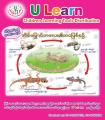 ULearn Poster Life Cycle of Lizard. 