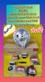 (Preorder) Rear hub set for the Wave 125i, turn signal, and windshield. Wave 100 U-box, Wave 100X, Wave 125X, Wave 110i, and Wave 125i Whale. Genuine HONDA parts. Complete set as shown. Free shipping.. 