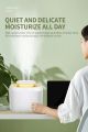 3.3L A12 humidifier household large-capacity humidification dual nozzle cool color night light. 