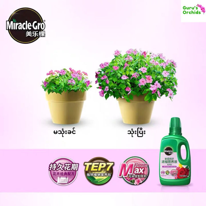 Miracle-Gro%20Plant%20Food%20-%20Image%207