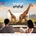 OnePlus TV Y1G 32 inches. 