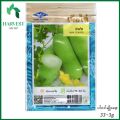 ကျောက်ဖရုံသီး (အရှည်) ပင်မျိုးစေ့ (Wax Gourd Seeds). 