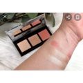 Catr. Luminice Highl. Blush Palette 010. 