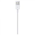 Apple Lightning to USB Cable (China). 
