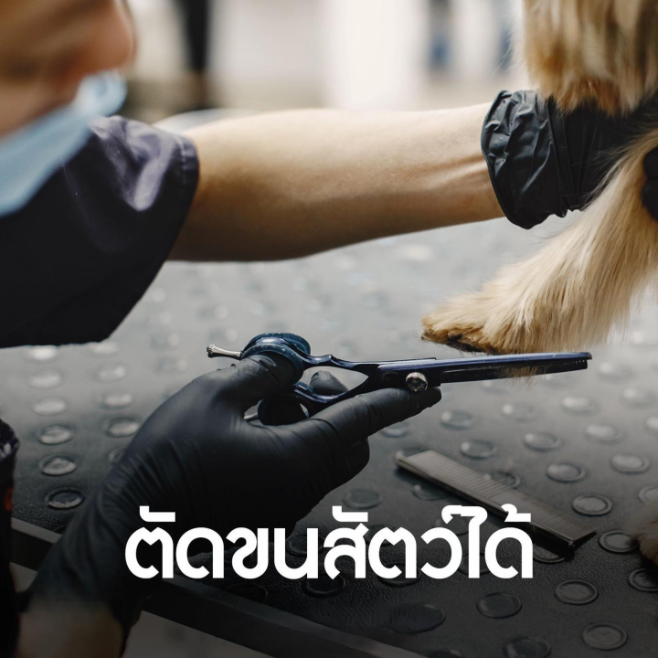 (Preorder)%20%5B3%20Pairs/Pack%5D%20Nitrile%20Gloves,%20Black/White,%20Thick,%20Durable,%20Snug%20Fit,%20Chemical%20Resistant%20(Single%20Use).%20Sizes%20S,%20M,%20L%20available.%20-%20Image%203