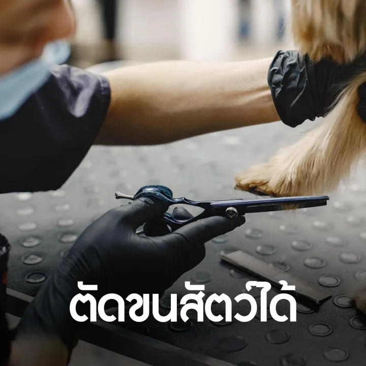 (Preorder)%20%5B3%20Pairs/Pack%5D%20Nitrile%20Gloves,%20Black/White,%20Thick,%20Durable,%20Snug%20Fit,%20Chemical%20Resistant%20(Single%20Use).%20Sizes%20S,%20M,%20L%20available.%20-%20Image%203