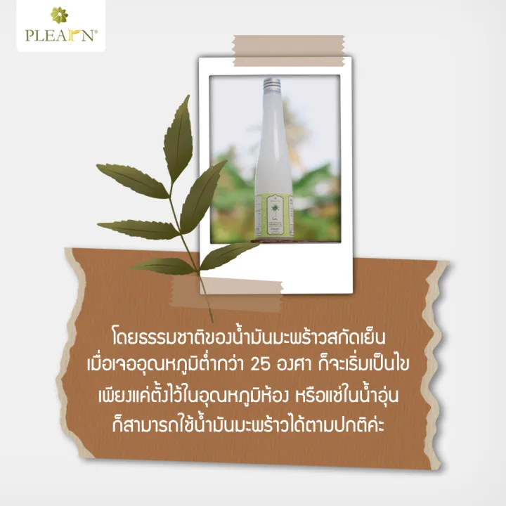 (Preorder)%20PLEARN%20pure%20cold-pressed%20coconut%20oil%201000%20ml%20(without%20pump%20head)%20Pheun%20Phraw%20brand%20(PURE%20EXTRA%20VIRGIN%20COCONUT%20OIL,%20fragrant,%20easy%20to%20eat,%20keto-friendly,%20can%20be%20used%20to%20apply%20on%20the%20face,%20body,%20and%20hair)%20-%20Image%208