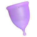 Anytime Women  Silicone Anti Leakage Menstrual Period Cup S purple. 