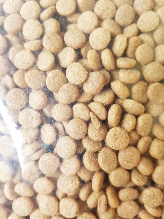 Kat%20Club%20%E1%80%80%E1%80%BC%E1%80%B1%E1%80%AC%E1%80%84%E1%80%BA%E1%80%85%E1%80%AC%201kg%20repack%20(Ocean%20Fish)%20-%20Image%208