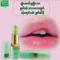 Healthy Shop Lip Pink. 