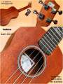 Andrew Ukulele ADL-007 (concert size 23'') [ Tike Na Lone Musical ]. 