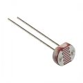 Light Dependent Resistor - CE Store. 