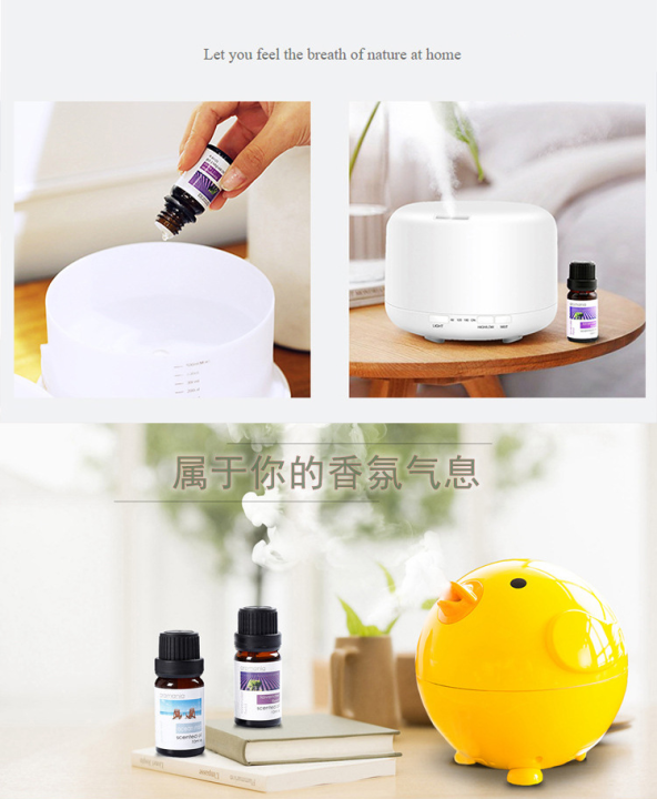 Water-soluble%20Essential%20oil%20(10ml)%20-%20Image%207