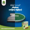 Taung Kyar Pann တောင်ကြာပန်း ကျားအားတိုးဆေး 1 ထုပ်. 