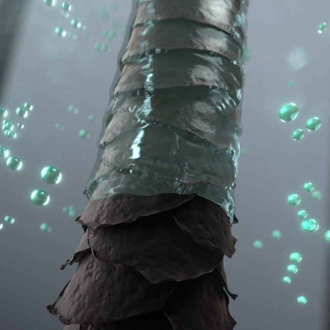 (Preorder) Panasonic Hair Dryer (1800 Watts, Black) Model EH-NE27-KL ဆံပင်အခြောက်ခံစက်