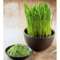 (Preorder) Organic Barley Grass Powder 100g. 
