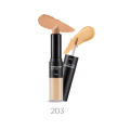 The Face Shop Concealer Dual Veil ex. 