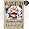One Piece Wanted Poster. 