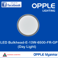OPPLE-LED Bulkhead-E-13W (Daylight). 