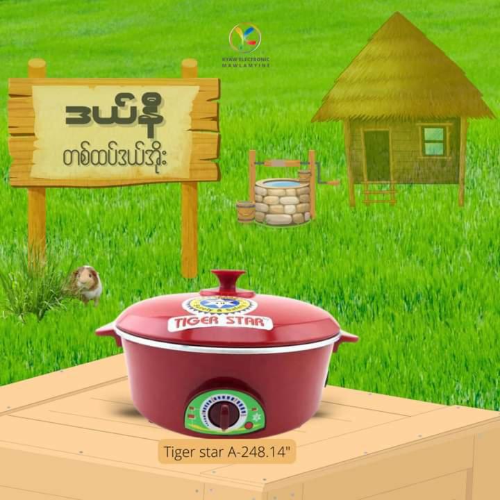 Tiger Star 248 (14")ဒယ်နီ