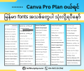 Canva Pro Plan. 