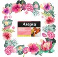 ASEPSO GENTLE ANTIBACTERIAL SOAP. 