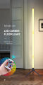 RGB Smart Ambience Floor Lamp Esports lamp Living Room Bedroom Live LED Corner Light Nightlight Bluetooth APP Remote Control. 