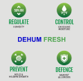 DEHUM FRESH | The Quietest Dehumidifier (36dBA) 12L/Day,180W, Up to 240sqft, 20 million Negative Ion. 