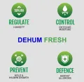 DEHUM FRESH | The Quietest Dehumidifier (36dBA) 12L/Day,180W, Up to 240sqft, 20 million Negative Ion. 
