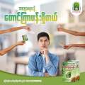 Taung Kyar Pann တောင်ကြာပန်း ကျားအားတိုးဆေး 1 ထုပ်. 