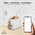 CrabTek WiFi Smart Socket Adapter. 