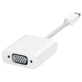 Apple Mini DisplayPort to VGA Adapter. 