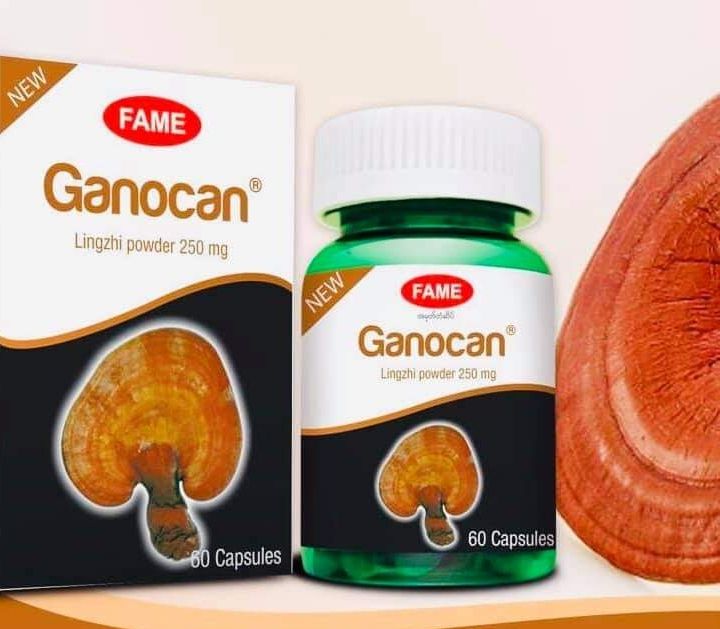 Fame%20Bundle,%20%E1%80%86%E1%80%AE%E1%80%B8%E1%80%81%E1%80%BB%E1%80%AD%E1%80%AF%E1%80%9E%E1%80%BD%E1%80%B1%E1%80%B8%E1%80%81%E1%80%BB%E1%80%AD%E1%80%AF%E1%80%9C%E1%80%B0%E1%80%94%E1%80%AC%E1%80%99%E1%80%BB%E1%80%AC%E1%80%B8%E1%80%A1%E1%80%90%E1%80%BD%E1%80%80%E1%80%BA%E1%80%90%E1%80%BD%E1%80%B2%E1%80%96%E1%80%80%E1%80%BA%E1%80%9E%E1%80%B1%E1%80%AC%E1%80%80%E1%80%BA%E1%80%9E%E1%80%AF%E1%80%B6%E1%80%B8%E1%80%94%E1%80%AD%E1%80%AF%E1%80%84%E1%80%BA%E1%80%9E%E1%80%B1%E1%80%ACFame%E1%80%86%E1%80%B1%E1%80%B8%E1%80%9D%E1%80%AB%E1%80%B8%E1%80%99%E1%80%BB%E1%80%AC%E1%80%B8%E1%81%8ACordyceps+Ganocan+Moringa+Nature%20C,%E1%80%9B%E1%80%BE%E1%80%AE%E1%80%95%E1%80%92%E1%80%AE%E1%80%B8+%E1%80%9C%E1%80%84%E1%80%BA%E1%80%87%E1%80%AE%E1%80%B8%E1%80%86%E1%80%B1%E1%80%B8+%E1%80%92%E1%80%94%E1%80%B7%E1%80%BA%E1%80%9E%E1%80%9C%E1%80%BD%E1%80%94%E1%80%BA%E1%80%9B%E1%80%BD%E1%80%80%E1%80%BA%E1%80%86%E1%80%B1%E1%80%B8+%E1%80%9E%E1%80%98%E1%80%AC%E1%80%9D%E1%80%85%E1%80%AE%20-%20Image%204